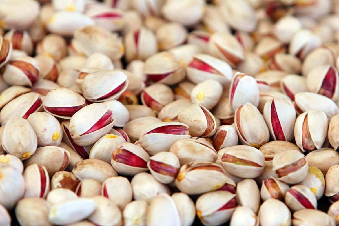 Raw pistachio Wholesale Price in the Market