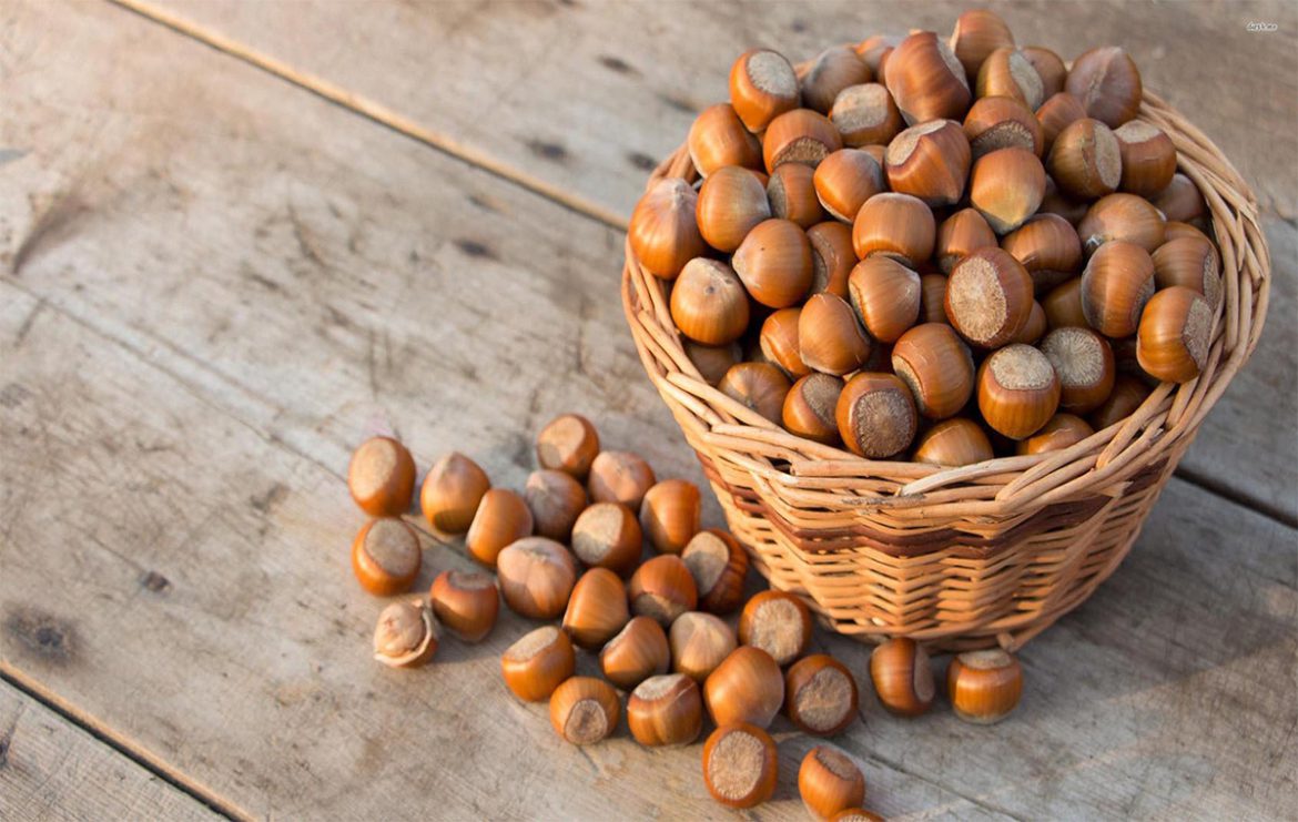 bulk hazelnut buying guide + wholesale price