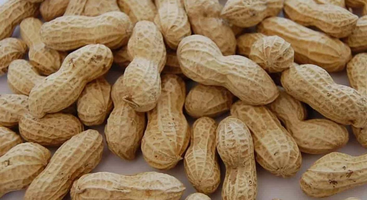 100% natural unsalted peanuts in shell